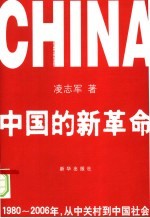 中国的新革命 1980-2006年,从中关村到中国社会