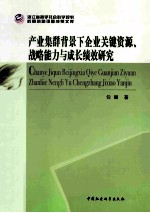 产业集群背景下企业关键资源战略能力与成长绩效研究
