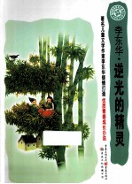 逆光的精灵