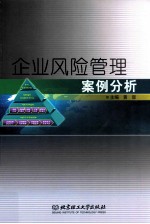企业风险管理案例分析