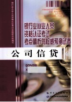 银行业从业人员资格认证考试考点精析与权威预测试卷 公司信贷