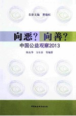 向恶 向善 中国公益观察2013