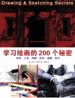 学习绘画的200个秘密 材料工具构图色彩选题技巧