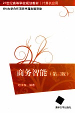 商务智能 第3版