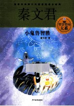 小鬼鲁智胜