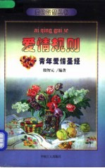 爱情规则 青年爱情圣经