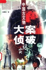 国患公告 中国古文物大案侦破纪实