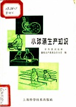 小球藻生产知识