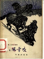 茫茫风雪夜
