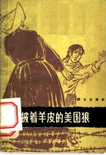 披着羊皮的美国狼