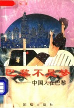 巴黎不是梦 中国人在巴黎
