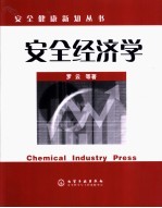 安全经济学
