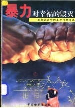 暴力对幸福的毁灭 婚姻家庭中的暴力问题透视