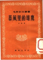 暴风里的雄鹰