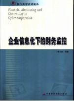 企业信息化下的财务监控