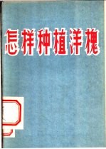 怎样种植洋槐