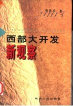 西部大开发新观察