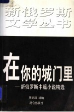 在你的城门里 新俄罗斯中篇小说精选
