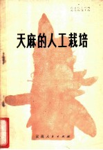 天麻的人工栽培