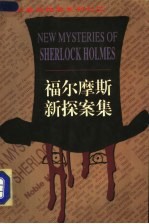福尔摩斯新探案集 3