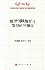 能源领域培育与发展研究报告