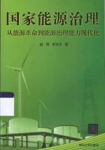 国家能源治理 从能源革命到能源能力现代化