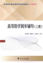 高等数学同步辅导 上