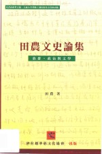 田农文史论集 族群·政治与文学