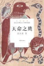 儿童文学四大天王经典小说集 天命之鹰