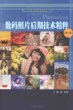 数码照片后期技术精粹 第2版