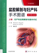 盆腔解剖与妇产科手术图谱 上 中文翻译版 第4版