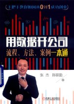 用数据开公司 流程、方法、案例一本通