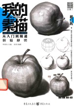 敲门砖 我的素描 从入门到精通 明暗静物 2017版