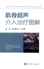 肌骨超声介入治疗图解