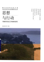 思想与行动 中国农村社会工作探索性研究