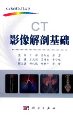 CT影像解剖基础