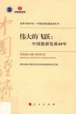 改革开放40年中国经济发展系列丛书 伟大的飞跃 中国能源发展40年