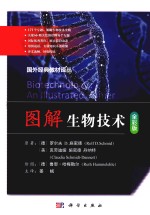 国外经典教材译丛 图解生物技术 全彩版