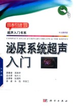 泌尿系统超声入门 中文翻译版
