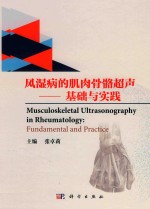 风湿病的肌肉骨骼超声 基础与实践 双语版