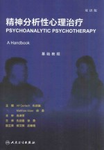 精神分析性心理治疗 基础教程