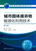 城市固体废弃物能源化利用技术