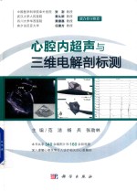 心腔内超声与三维电解剖标测