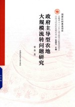 政府主导型农地大规模流转问题研究