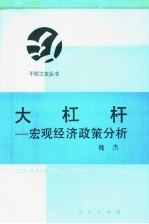 大杠杆 宏观经济政策分析
