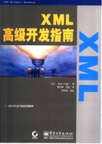 XML高级开发指南