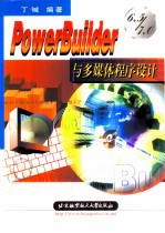 PowerBuilder 6.5/7.0与多媒体程序设计