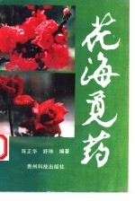 花海觅药