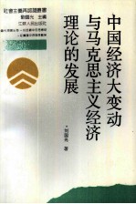 中国经济大变动与马克思主义经济理论的发展