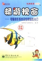 畅游视窗 电脑操作系统及应用软件入门